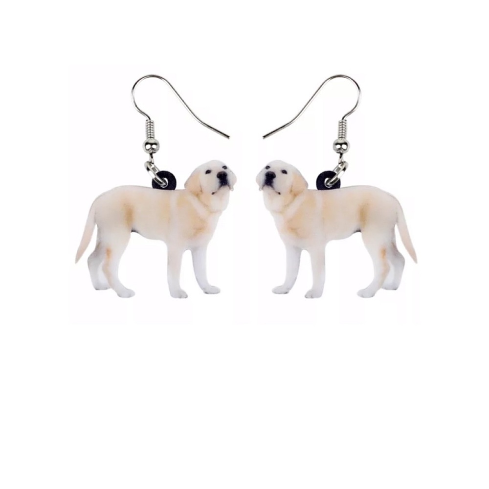 FREE SHIPPING | Double-Sided Acrylic Dangle Earrings NWT